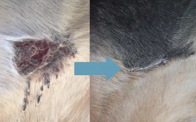 Results of AW5 (formally known as Liverpool cream) treatment