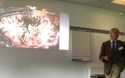 Denver Convention Feedback