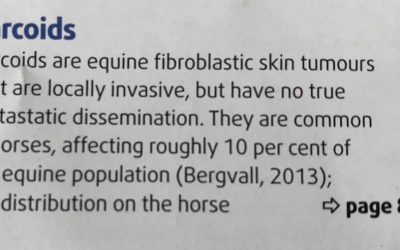 Equine Skin Disease Article