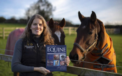 Page & Gunstone Equine Vets are the winners