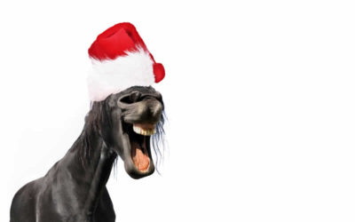 Christmas Opening Hours