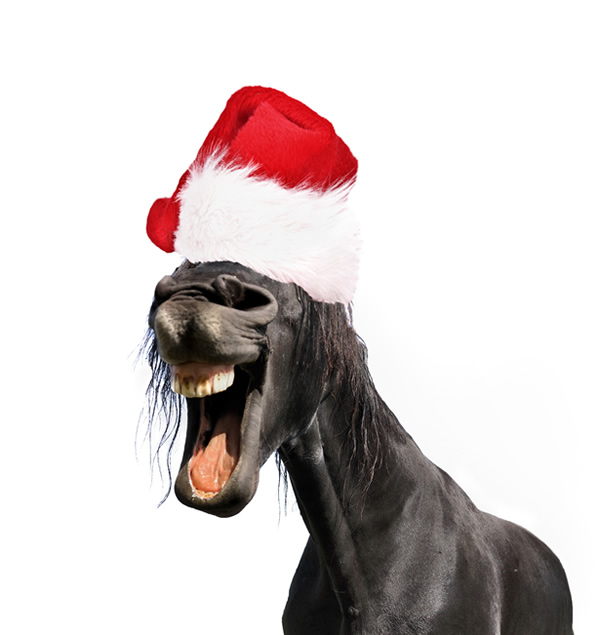 horse with christmas hat
