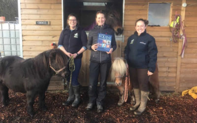 New Forest Equine Vets are Winners!