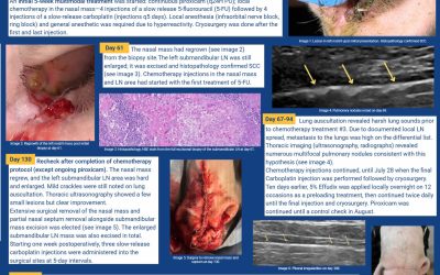 Treatment of a case of nasal squamous cell carcinoma (SCC)