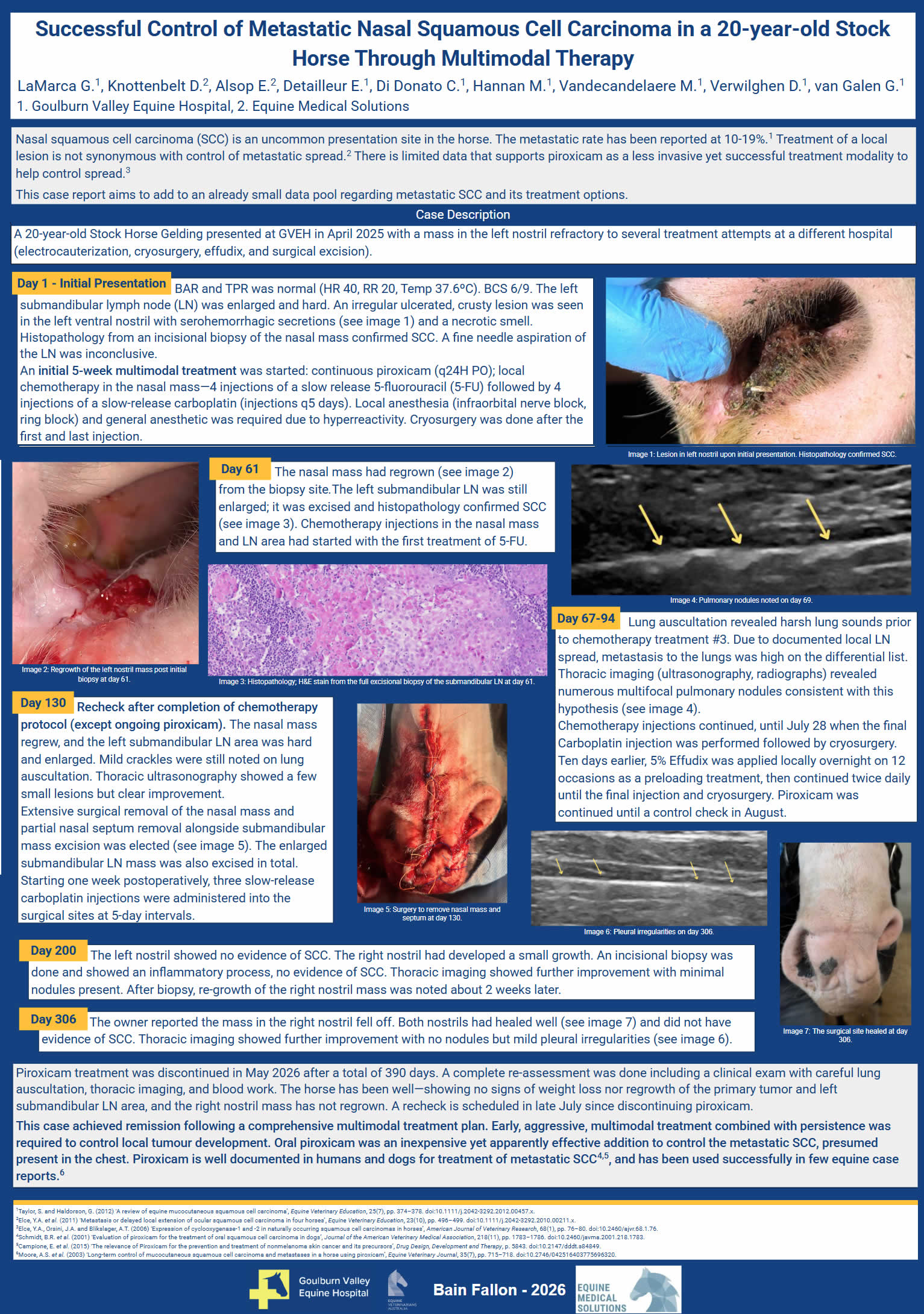 Equine Sarcoid treatment
